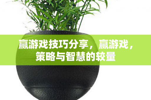 赢游戏技巧分享，赢游戏，策略与智慧的较量