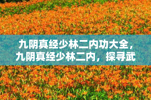 九阴真经少林二内功大全,九阴真经少林二内,探寻武林的奥秘 九阴真经少林二内功大全,九阴真经少林二内,探寻武林的奥秘