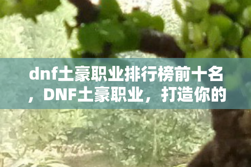 dnf土豪职业排行榜前十名,DNF土豪职业,打造你的专属土豪之路 dnf土豪职业排行榜前十名,DNF土豪职业,打造你的专属土豪之路