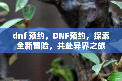 dnf 预约,DNF预约,探索全新冒险,共赴异界之旅 dnf 预约,DNF预约,探索全新冒险,共赴异界之旅