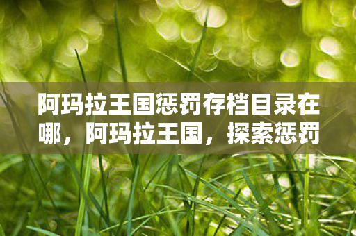 阿玛拉王国惩罚存档目录在哪，阿玛拉王国，探索惩罚存档的隐秘位置