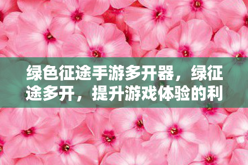 绿色征途手游多开器，绿征途多开，提升游戏体验的利器