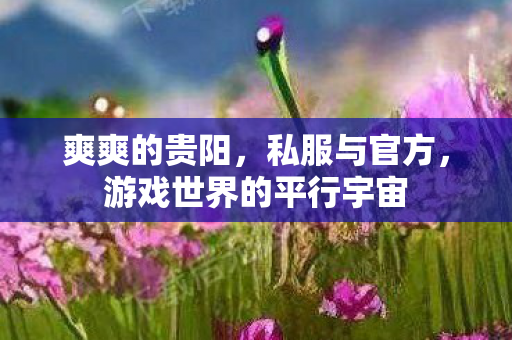 爽爽的贵阳，私服与官方，游戏世界的平行宇宙