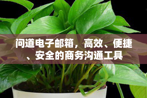 问道电子邮箱，高效、便捷、安全的商务沟通工具