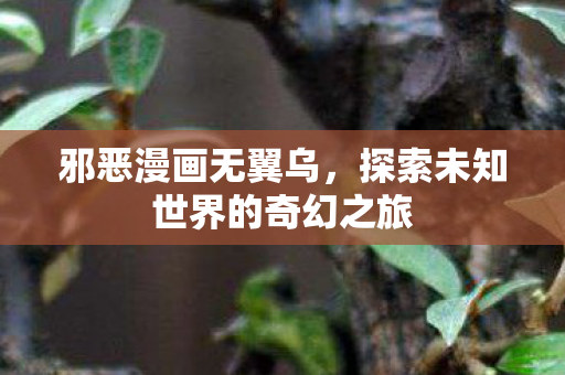 邪恶漫画无翼乌，探索未知世界的奇幻之旅