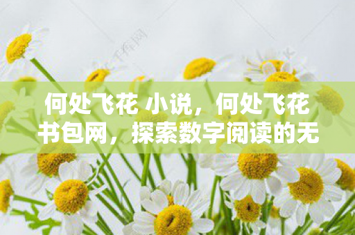 何处飞花 小说，何处飞花书包网，探索数字阅读的无限可能