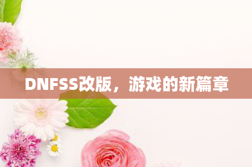DNFSS改版，游戏的新篇章