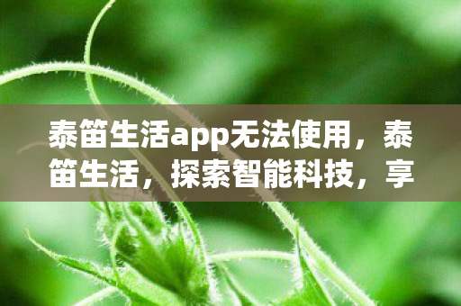 泰笛生活app无法使用,泰笛生活,探索智能科技,享受便捷生活 泰笛生活app无法使用,泰笛生活,探索智能科技,享受便捷生活