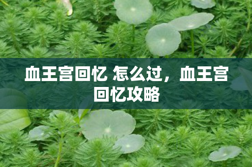 血王宫回忆 怎么过，血王宫回忆攻略