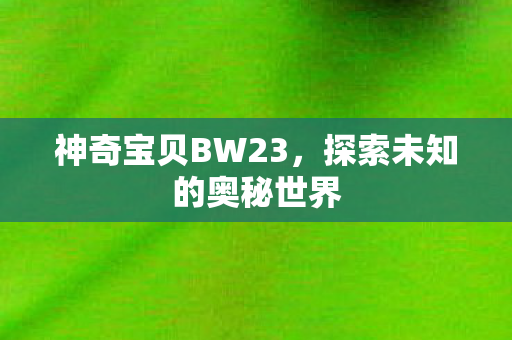 神奇宝贝BW23，探索未知的奥秘世界