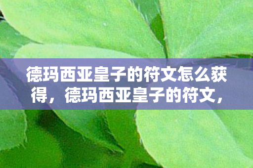 德玛西亚皇子的符文怎么获得，德玛西亚皇子的符文，掌控战场的艺术