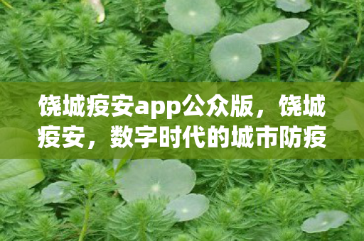 饶城疫安app公众版，饶城疫安，数字时代的城市防疫新篇章