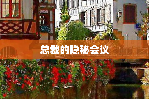 总裁的隐秘会议
