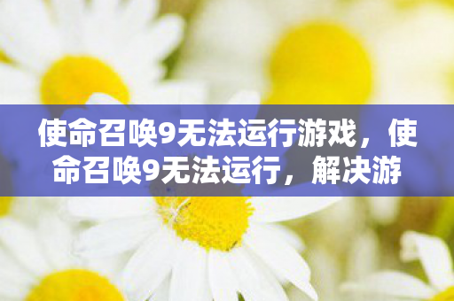 使命召唤9无法运行游戏，使命召唤9无法运行，解决游戏启动问题的全面指南