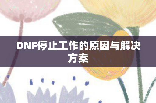 DNF停止工作的原因与解决方案