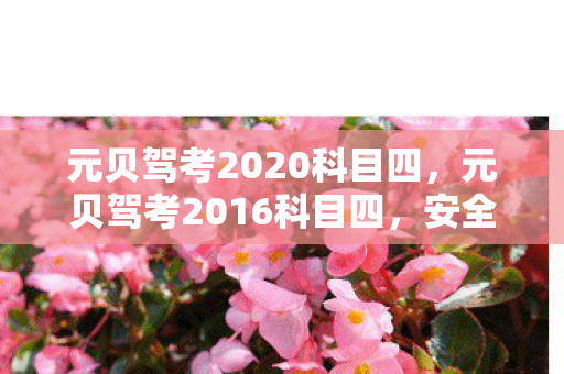 元贝驾考2020科目四，元贝驾考2016科目四，安全驾驶的必修课