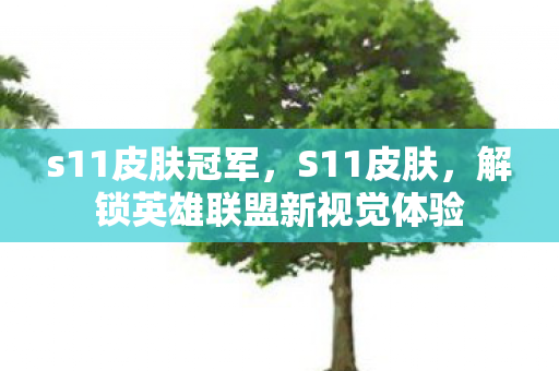 s11皮肤冠军，S11皮肤，解锁英雄联盟新视觉体验