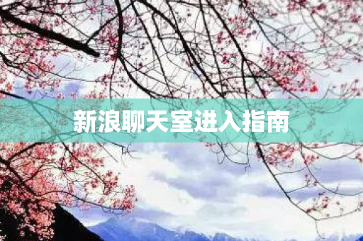 新浪聊天室进入指南 新浪聊天室进入指南