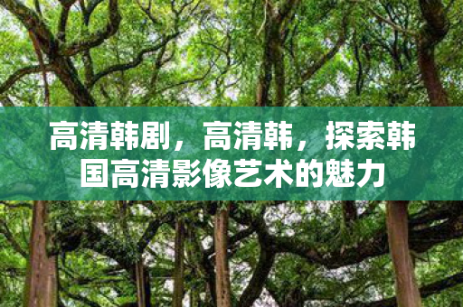 高清韩剧，高清韩，探索韩国高清影像艺术的魅力