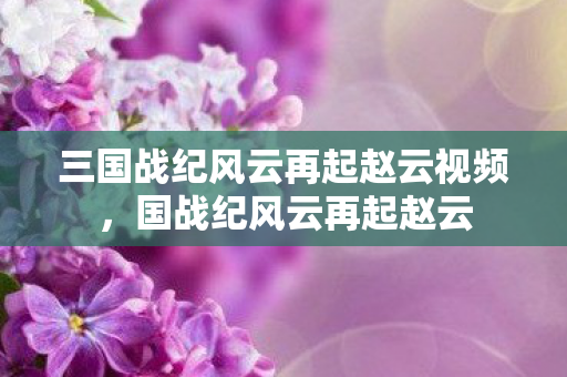 三国战纪风云再起赵云视频，国战纪风云再起赵云