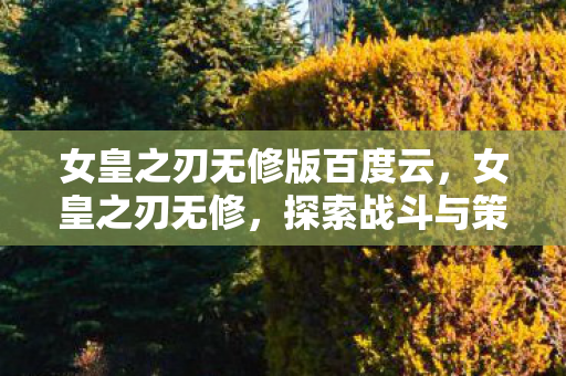 女皇之刃无修版百度云，女皇之刃无修，探索战斗与策略的深度结合