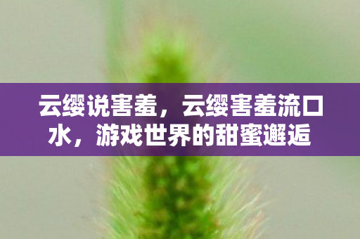 云缨说害羞，云缨害羞流口水，游戏世界的甜蜜邂逅