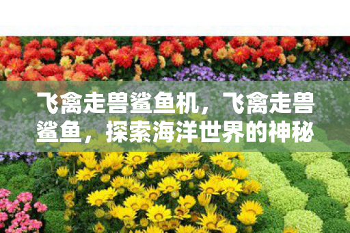 飞禽走兽鲨鱼机，飞禽走兽鲨鱼，探索海洋世界的神秘生物