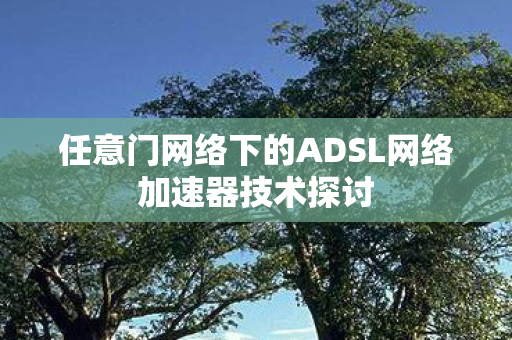 任意门网络下的ADSL网络加速器技术探讨