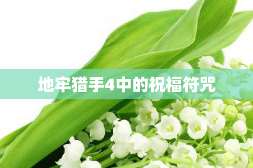 地牢猎手4中的祝福符咒