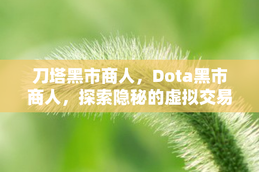 刀塔黑市商人,Dota黑市商人,探索隐秘的虚拟交易之地 刀塔黑市商人,Dota黑市商人,探索隐秘的虚拟交易之地