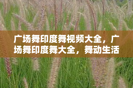 广场舞印度舞视频大全，广场舞印度舞大全，舞动生活的艺术