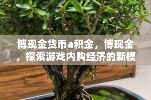 博现金货币a积金，博现金，探索游戏内购经济的新模式