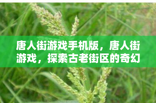 唐人街游戏手机版，唐人街游戏，探索古老街区的奇幻冒险