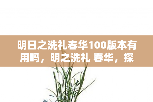 明日之洗礼春华100版本有用吗，明之洗礼 春华，探索游戏世界的纯净与美好