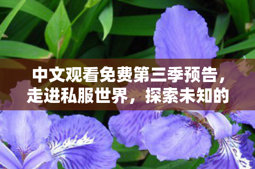 中文观看免费第三季预告,走进私服世界,探索未知的游戏维度 中文观看免费第三季预告,走进私服世界,探索未知的游戏维度