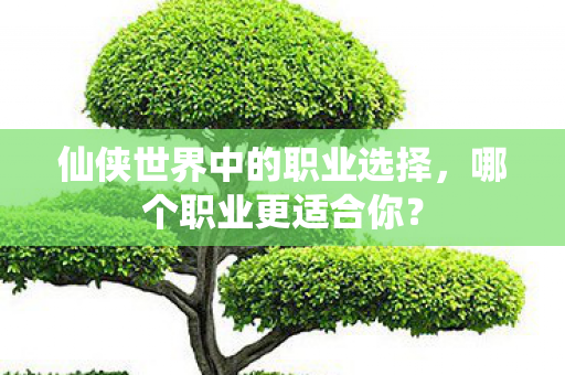 仙侠世界中的职业选择,哪个职业更适合你? 仙侠世界中的职业选择,哪个职业更适合你?
