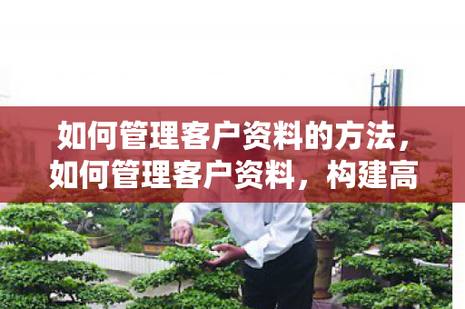 如何管理客户资料的方法，如何管理客户资料，构建高效客户管理系统的策略