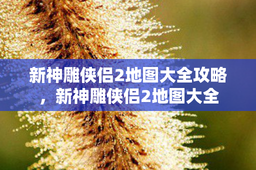 新神雕侠侣2地图大全攻略,新神雕侠侣2地图大全 新神雕侠侣2地图大全攻略,新神雕侠侣2地图大全