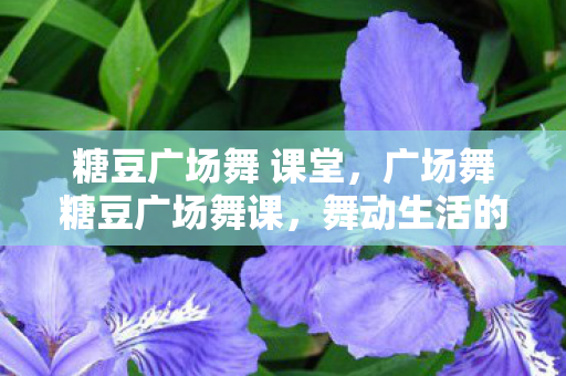 糖豆广场舞 课堂,广场舞糖豆广场舞课,舞动生活的快乐旋律 糖豆广场舞 课堂,广场舞糖豆广场舞课,舞动生活的快乐旋律