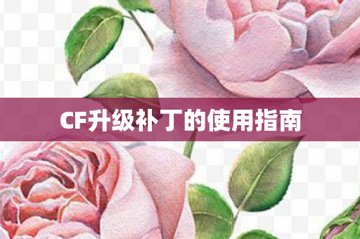 CF升级补丁的使用指南