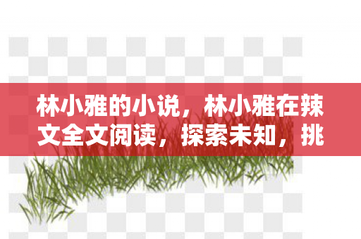 林小雅的小说，林小雅在辣文全文阅读，探索未知，挑战自我