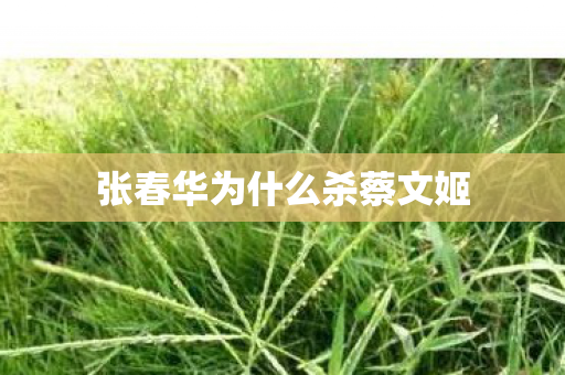 张春华为什么杀蔡文姬