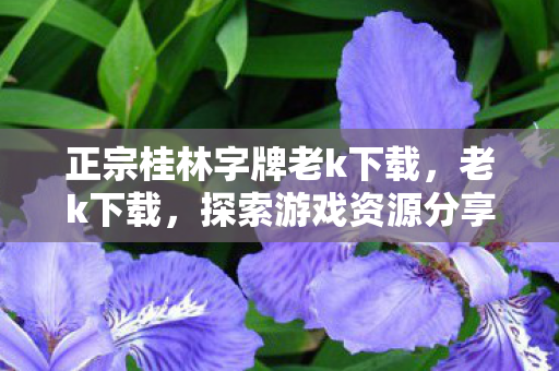 正宗桂林字牌老k下载，老k下载，探索游戏资源分享的新趋势