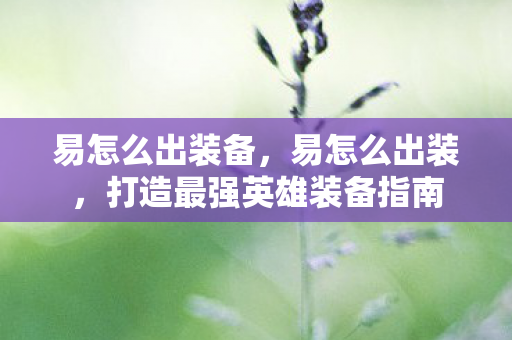 易怎么出装备，易怎么出装，打造最强英雄装备指南