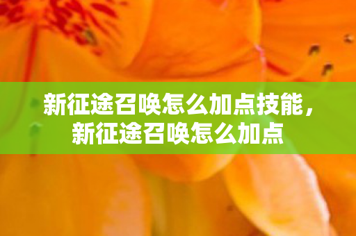 新征途召唤怎么加点技能，新征途召唤怎么加点