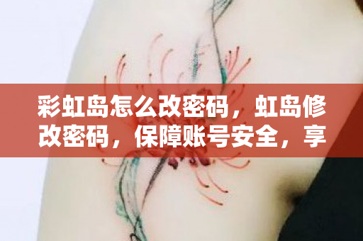 彩虹岛怎么改密码，虹岛修改密码，保障账号安全，享受无忧体验