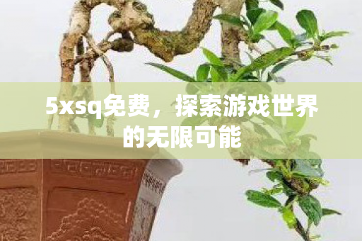 5xsq免费，探索游戏世界的无限可能