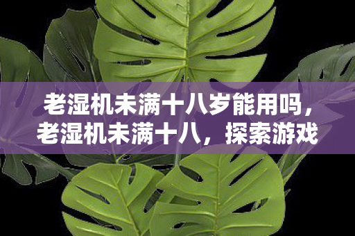 老湿机未满十八岁能用吗，老湿机未满十八，探索游戏世界的边界与责任