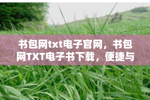 书包网txt电子官网，书包网TXT电子书下载，便捷与风险并存