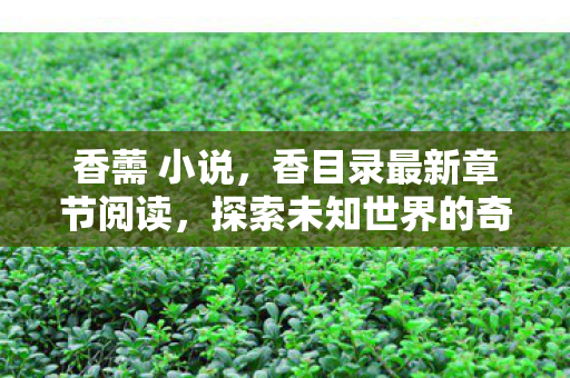 香薷 小说，香目录最新章节阅读，探索未知世界的奇妙之旅